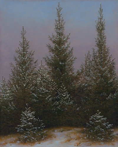 Gęsty las świerkowy w śniegu (Z „Dresdner Heide I”) autorstwa Caspar David Friedrich