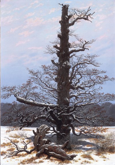 Niemiecki: Eichbaum im Schnee Drzewo dębowe w śniegu autorstwa Caspar David Friedrich