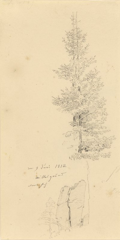 niemiecki: Studie mit Fichten und Felsen Studium świerków i skały autorstwa Caspar David Friedrich