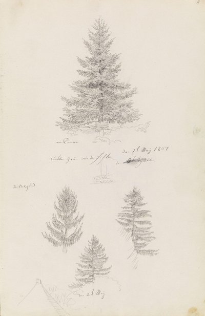 Jodła i trzy badania świerka autorstwa Caspar David Friedrich