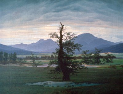 Samotne drzewo, 1823 autorstwa Caspar David Friedrich