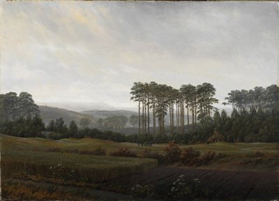 Pory dnia: popołudnie, 1821-1822 autorstwa Caspar David Friedrich
