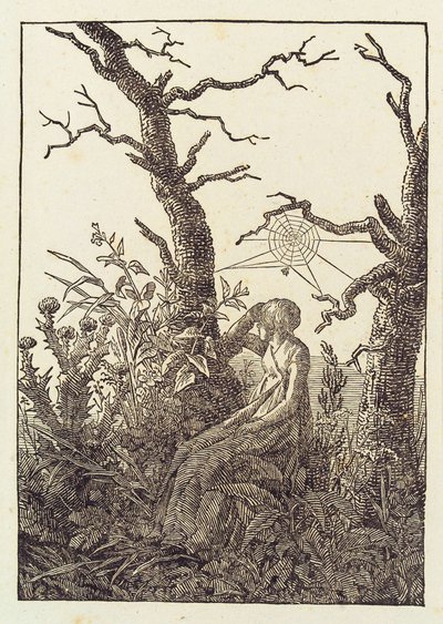 Kobieta z pajęczyną autorstwa Caspar David Friedrich