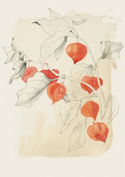  autorstwa Catalina Somolinos