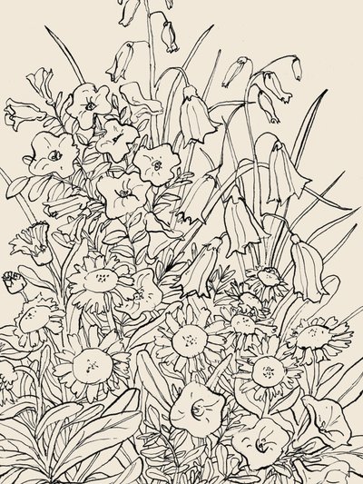 Dzikie kwiaty ogrodowe autorstwa Catalina Somolinos