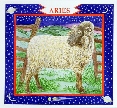 Baran (wc na papierze) autorstwa Catherine Bradbury