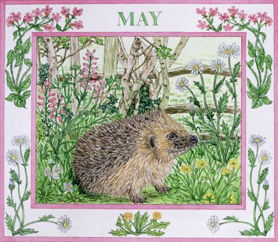 maj (wc na papierze) autorstwa Catherine Bradbury