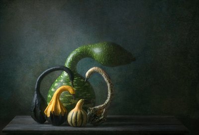 Martwa natura z jesiennymi tykwami autorstwa Catherine Wang