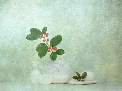 Naturalny kamień jagodowy Zen autorstwa Catherine Wang