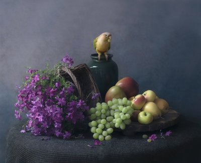 Martwa natura z papugą autorstwa Catherine Wang
