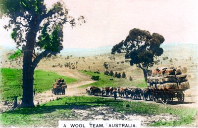 Drużyna wełniana, Australia, lata 20. XX wieku. autorstwa Cavenders Ltd