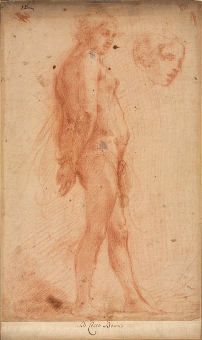 Studium stojącego aktu męskiego, ze studium głowy w profilu 3/4, c. 1640. autorstwa Cecco Bravo