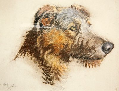 Scottish Deer Hound (pastelowy na przyciemnianym papierze) autorstwa Cecil Charles Windsor Aldin
