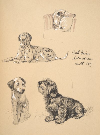 Bullterier, dalmatyńczyk i mutt dog, 1930, ilustracje z jego szkicownika używanego w Just Among Friends, Aldin, Cecil Charles Windsor (1870-1935), później wydane przez Eyre i Spottiswoode Limited, autorstwa Cecil Charles Windsor Aldin