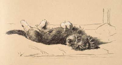 Rough Daschund Puppy Detail, 1930, Ilustracje z jego szkicownika używanego do Just Among Friends, Aldin, Cecil Charles Windsor (1870-1935), później opublikowane przez Eyre i Spottiswoode Limited, 1934, Cha autorstwa Cecil Charles Windsor Aldin