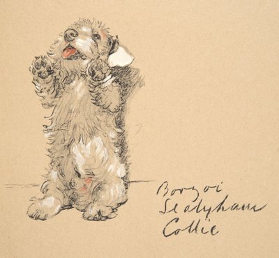 Sealyham, 1930,Ilustracje z jego szkicownika używanego do Just Among Friends, później wydane przez Eyre i Spottiswoode Limited, 1934 (kreda i węgiel drzewny na papierze) autorstwa Cecil Charles Windsor Aldin