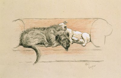Wilczarz i Bull Terrier śpią na kanapie (pastel na papierze) autorstwa Cecil Charles Windsor Aldin