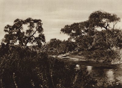 Meksyk: Zacatecas, w pobliżu ruin La Quemada (zdjęcie czarno-białe) autorstwa Cecile Seler Sachs