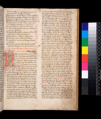 Ms 148. Grzegorz Wielki, Dialogi po włosku przeł. Domenico Cavalca, f.2r Zdobiona litera [N] czerwonym tuszem z kwitnieniem pióra w brązowym tuszu autorstwa Central Italian School