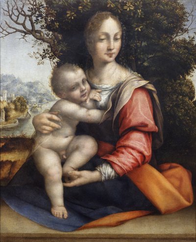 Madonna z Dzieciątkiem (Matka Boża z Drzewa) autorstwa Cesare da Sesto