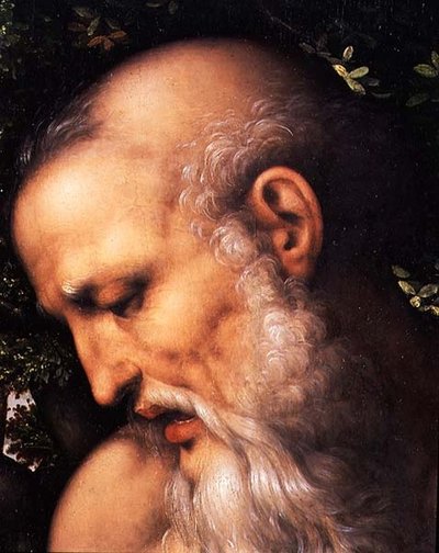 Św. Hieronim, fragment głowy świętego (olej na desce) (detal z 112517) autorstwa Cesare da Sesto