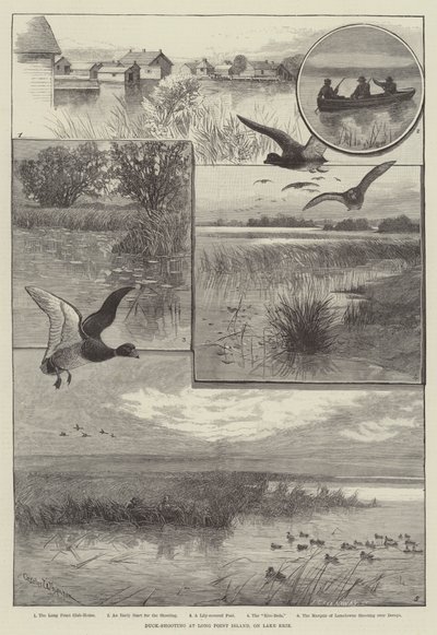 Strzelanie do kaczek na Long Point Island, nad jeziorem Erie (grawerowanie) autorstwa Charles (after) Whymper