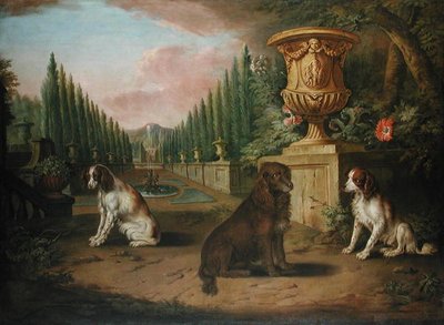 Trzy spaniele w formalnym ogrodzie, ok. 1730 (olej na płótnie) autorstwa Charles (and Studio) Collins