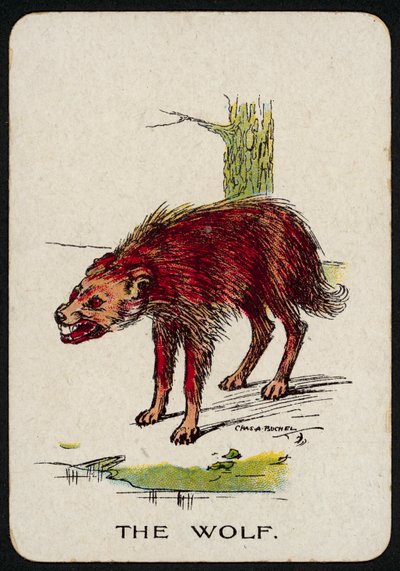 Wilk (kolor lito) autorstwa Charles A. Buchel