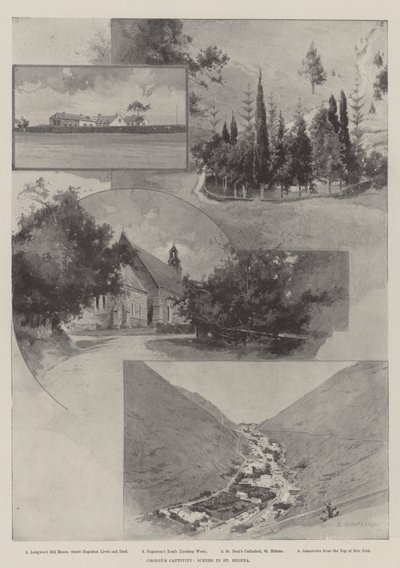 Niewola Cronjego, Sceny na Świętej Helenie autorstwa Charles Auguste Loye