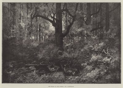 Serce Lasu autorstwa Charles Auguste Loye