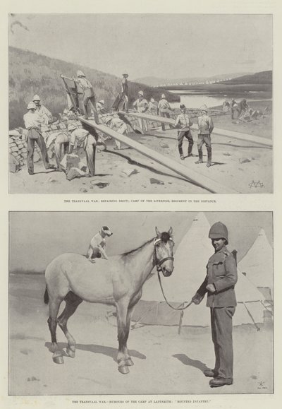 Wojna Transwalu autorstwa Charles Auguste Loye