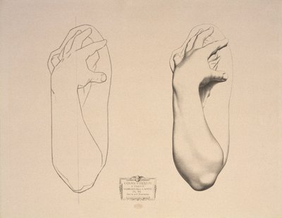 Wygięte ramię kobiety, płyta 22 z Cours de Dessin, tom I, Modeles dapres la bosse, c.1868 autorstwa Charles Bargue
