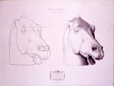 Głowa konia z zachodniego frontonu Partenonu, tablica 47 z Cours de Dessin, c.1898 autorstwa Charles Bargue