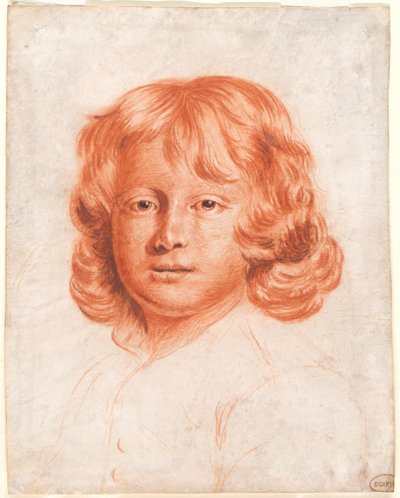 Portret młodego chłopca autorstwa Charles Beale