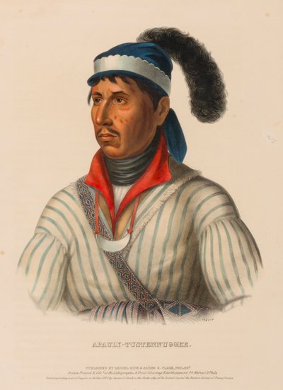 APAULY-TUSTENNUGGEE., z Historii plemion indiańskich Ameryki Północnej autorstwa Charles Bird King