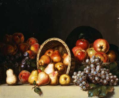 Jabłka, Gruszki, Śliwki i Winogrona, autorstwa Charles Bird King