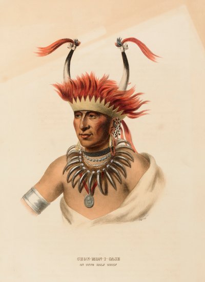 CHON-MON-I-CASE. AN OTTO HALF CHIEF, z Historii plemion indiańskich Ameryki Północnej autorstwa Charles Bird King