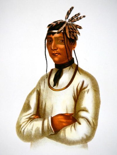Caatousee z plemienia Chippewa (kolor lito) autorstwa Charles Bird King