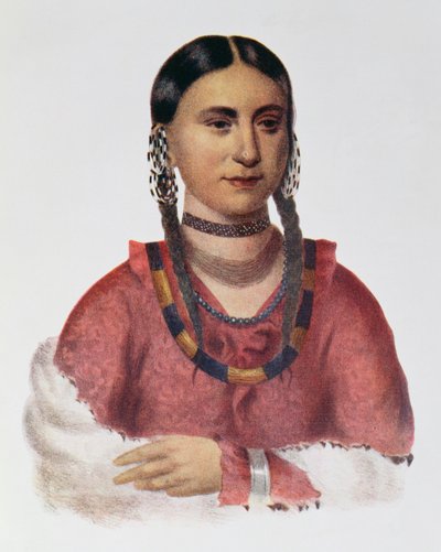 Hayne Hudjuhini czyli „Orzeł rozkoszy”, ilustracja z „Indiańskich plemion Ameryki Północnej, tom 1”, Thomasa L. McKenneya i Jamesa Halla, wyd. przez Johna Granta autorstwa Charles Bird King