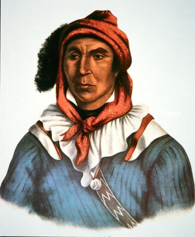 Julcee Mathla autorstwa Charles Bird King