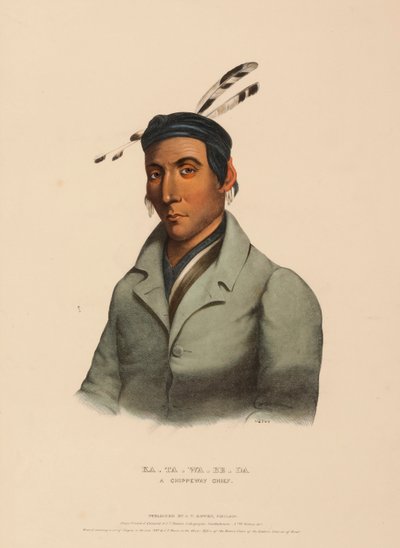 KA-TA-WA-BE-DA. A CHIPPEWAY CHIEF., z Historii plemion indiańskich Ameryki Północnej autorstwa Charles Bird King