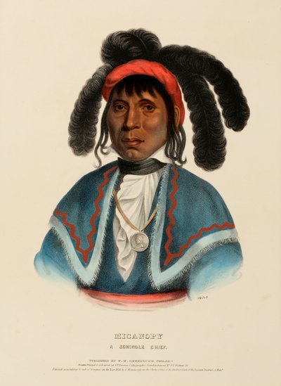 MICANOPY. A SEMINOLE CHIEF., z Historii plemion indiańskich Ameryki Północnej autorstwa Charles Bird King