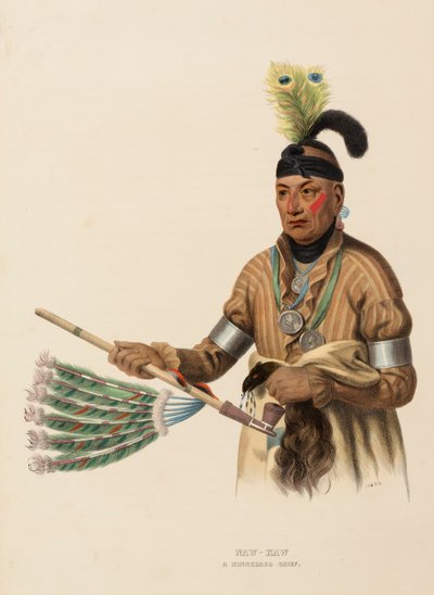 NAW-KAW. A WINNEBAGO CHIEF., z Historii plemion indiańskich Ameryki Północnej autorstwa Charles Bird King