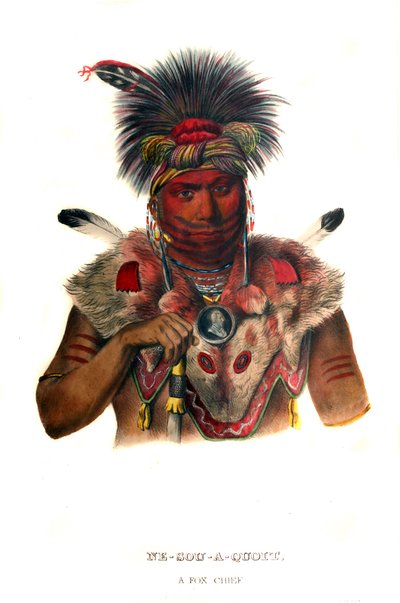 Nesouaquoit ( „Niedźwiedź w widłach drzewa”) autorstwa Charles Bird King