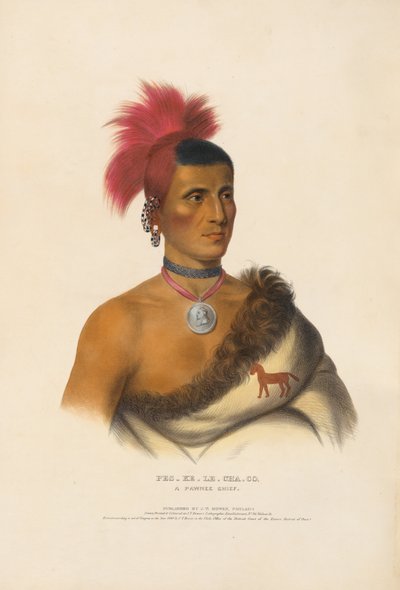  autorstwa Charles Bird King