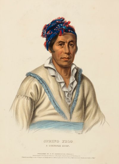 WIOSENNA ŻABA. A CHEROKEE CHIEF, z Historii plemion indiańskich Ameryki Północnej autorstwa Charles Bird King