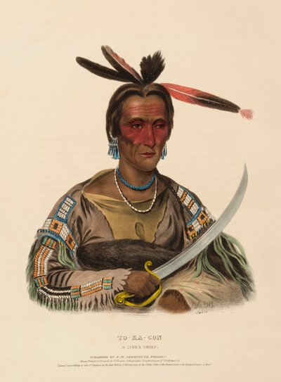 TO-KA-CON. A SIOUX CHIEF., z Historii plemion indiańskich Ameryki Północnej autorstwa Charles Bird King