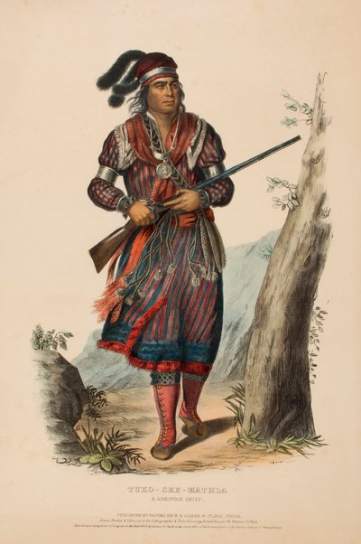 TUKO-SEE-MATHLA. A SEMINOLE CHIEF., z Historii plemion indiańskich Ameryki Północnej autorstwa Charles Bird King