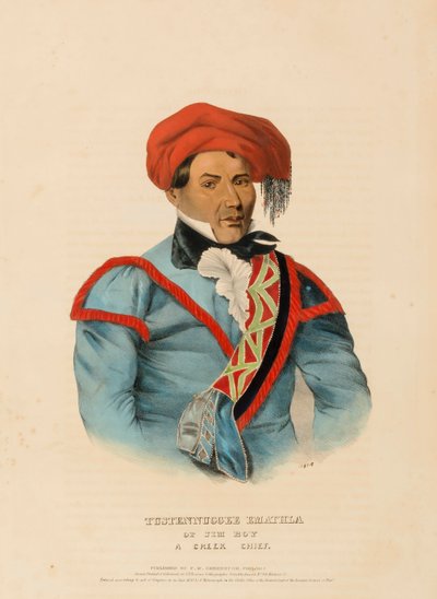 TUSTENNUGGEE EMATHLA, z Historii plemion indiańskich Ameryki Północnej autorstwa Charles Bird King