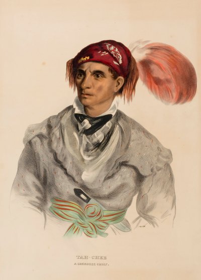 Tah-Chee (Dutch), wódz Czirokezów, z Historii plemion indiańskich Ameryki Północnej autorstwa Charles Bird King